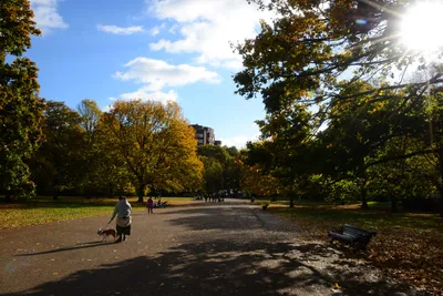 DSC_0455 (Large).JPG